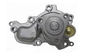 Bomba Ecosport/Ka 1.5 Agua Motor Dragon